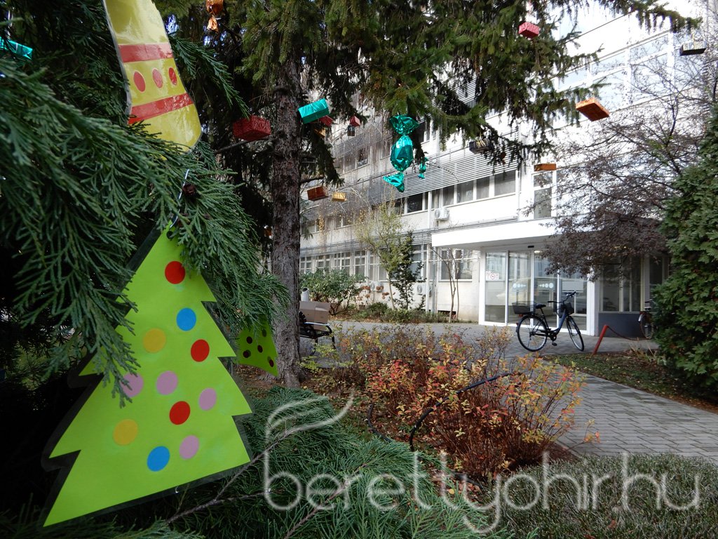 Fenyődíszítés a kórházban 30